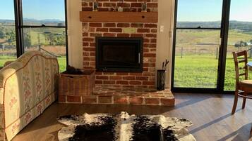 Smart TV, fireplace, DVD player, books