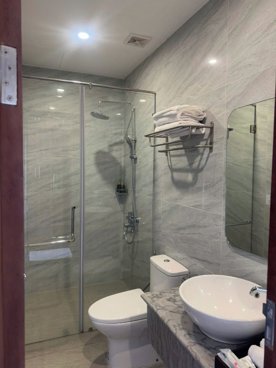 A modern bathroom with a glass-enclosed shower, a toilet, and a marble vanity with a sink.
