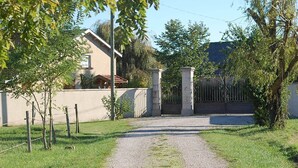 A gravel path leading to a gated entrance with a house in the background.