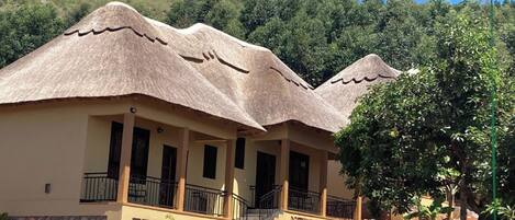 Escritorio, wifi gratis y ropa de cama