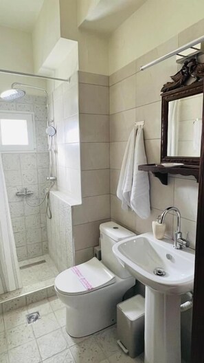 A bathroom with a shower, toilet, sink, and a mirror. - Guesthouse Filokalia (Volos)