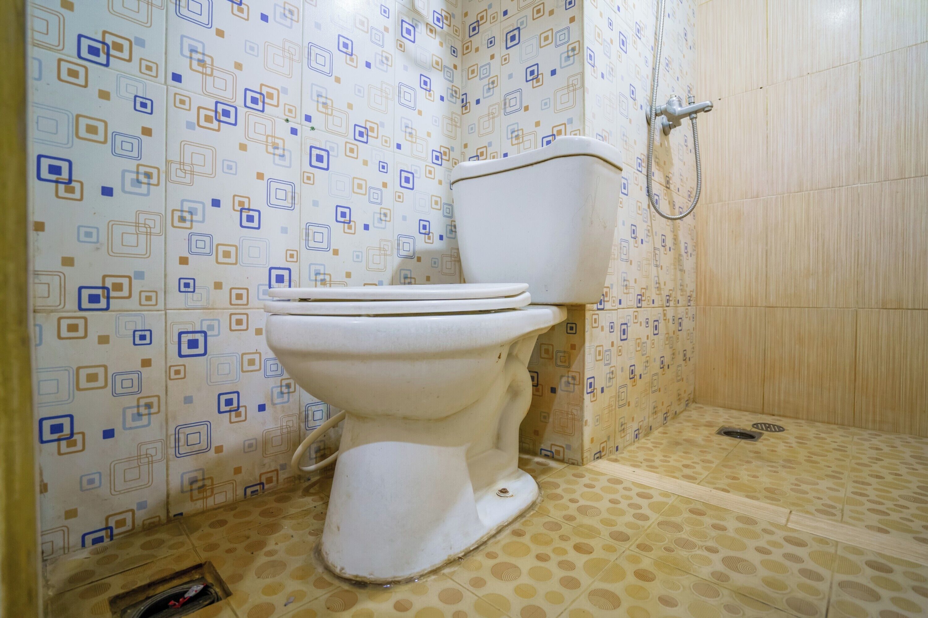 A bathroom with a toilet, shower, and patterned tiles.
