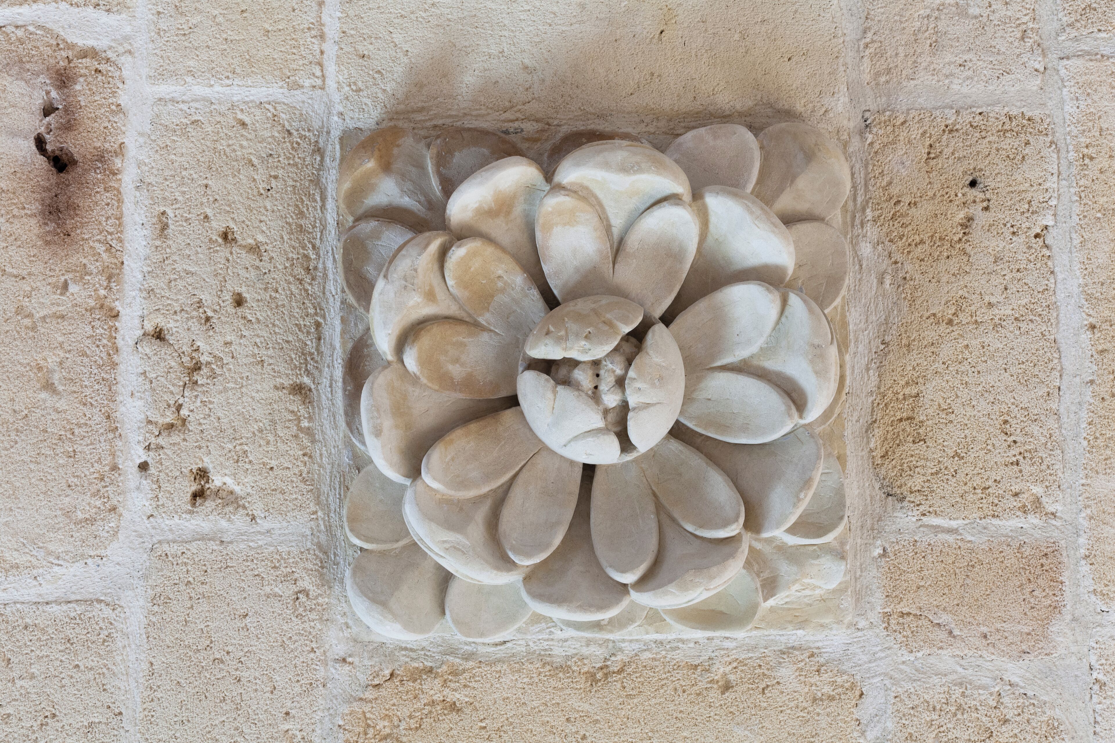 Pared de piedra con un diseño circular y texturizado.