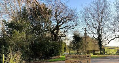 Walltree House Glamping - Cozy Glamping Experience