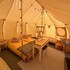 Walltree House Glamping - Cozy Glamping Experience