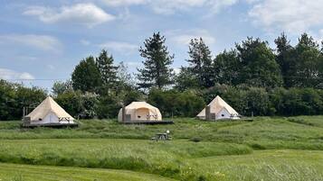 Cabane | Golf
