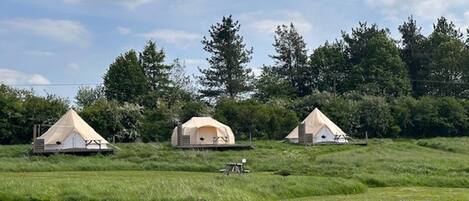 Cabane | Golf