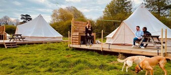 Walltree House Glamping - Cozy Glamping Experience