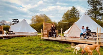 Walltree House Glamping - Cozy Glamping Experience