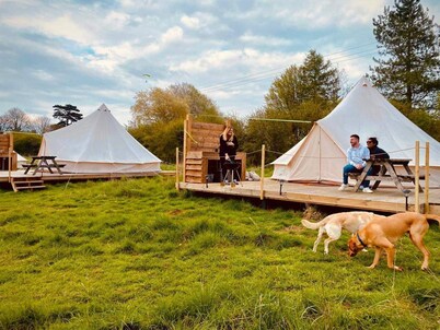 Walltree House Glamping - Cozy Glamping Experience