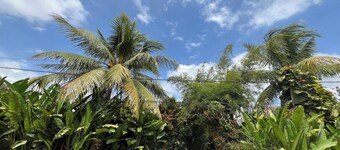 OYO 94014 The Sanya Homestay