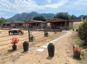 Enceinte de l’hébergement