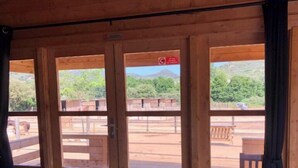 Una puerta de madera con vistas a un espacio exterior con mesa de picnic y un cartel.