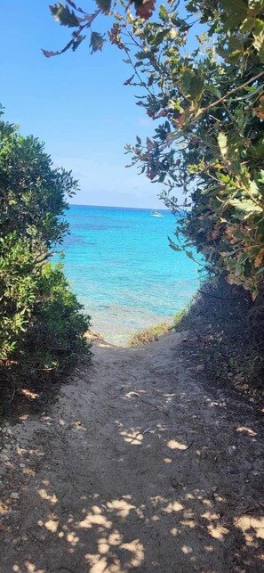 A pathway leading to a beach with clear blue water and a sailboat in the distance.