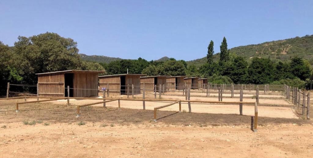 A fenced outdoor area with multiple wooden structures, likely stables or animal pens, set against a backdrop of trees and hills.