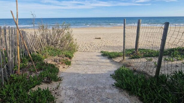 Un sendero bordeado de follaje y una cerca de madera que conduce al mar.