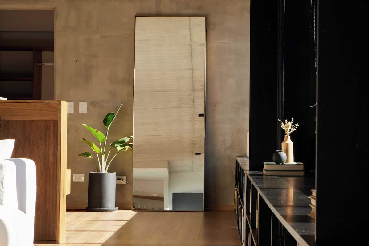 A modern interior with a wooden floor, a potted plant, a bookshelf, and a door leading to another room.