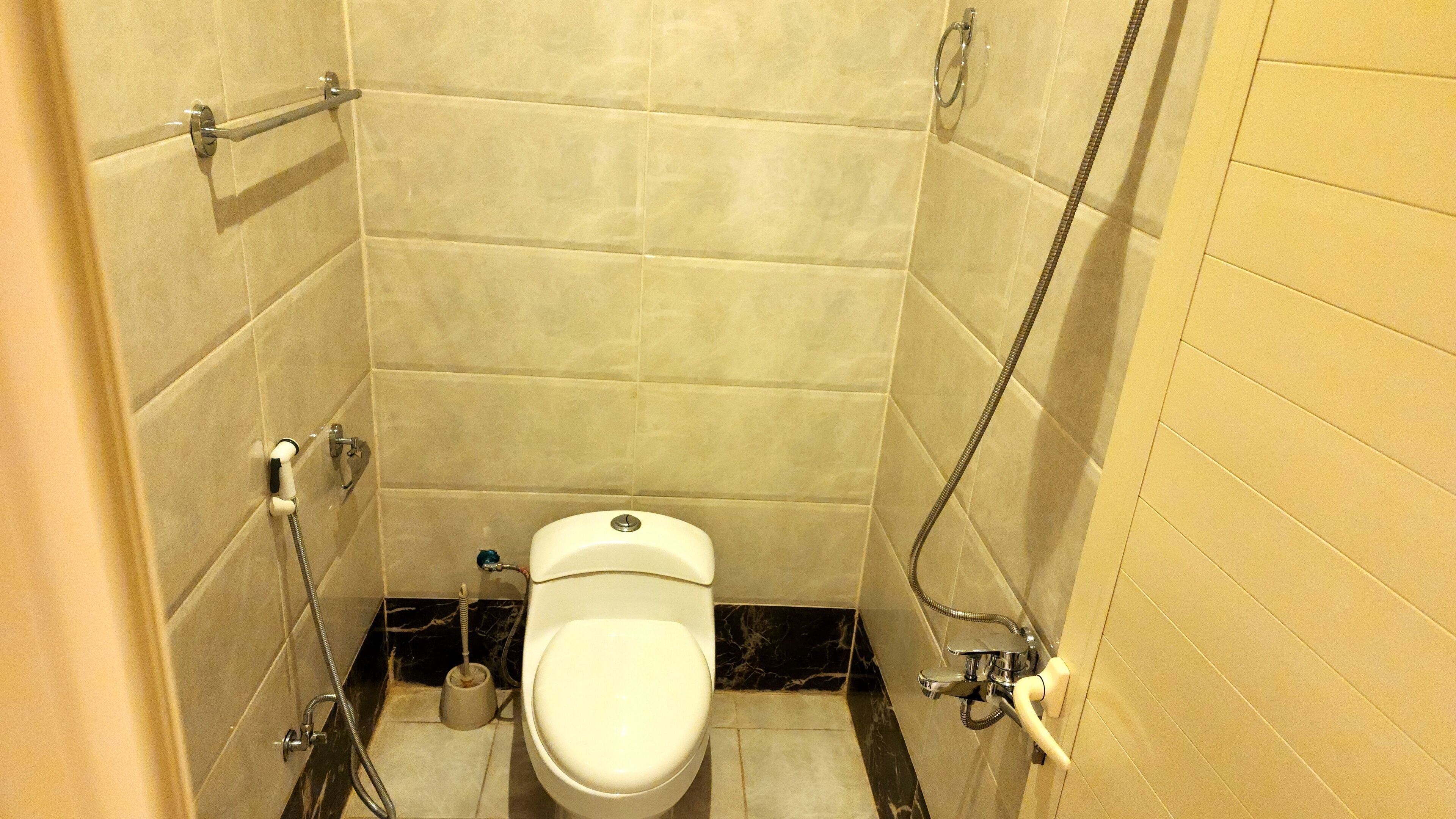 A small, compact bathroom with a toilet, a handheld showerhead, and a toilet brush.