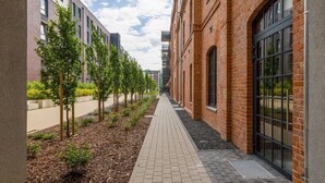 A corridor with brick buildings, a paved walkway, and young trees.