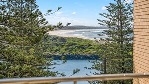 Une vue côtière avec une plage, l’océan et une végétation luxuriante.