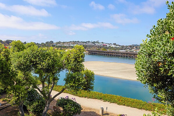 Beach nearby - Trackside Tides - Pet Friendly - Racetrack and Lagoon Views - Extended Living (Del Mar)