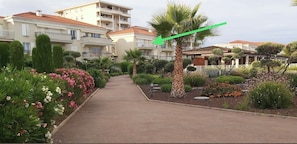 Stroll through the beautifully maintained garden, featuring a variety of plants and a majestic palm tree.