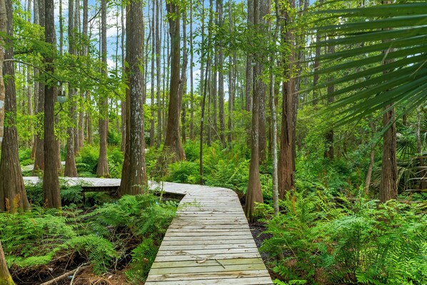 Hiking - Cassine Gardens by Panhandle Getaways (Santa Rosa Beach)