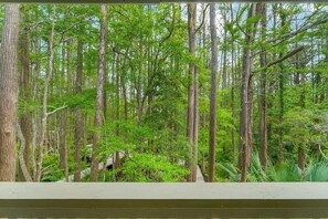 A forested area with tall trees and a wooden walkway. - Cassine Gardens by Panhandle Getaways (Santa Rosa Beach)
