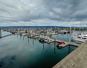 A marina with numerous boats docked at wooden piers, calm water, and a cloudy sky. - Paradise Suites, Homer Alaska, an entire house. private hot tub (Homer)