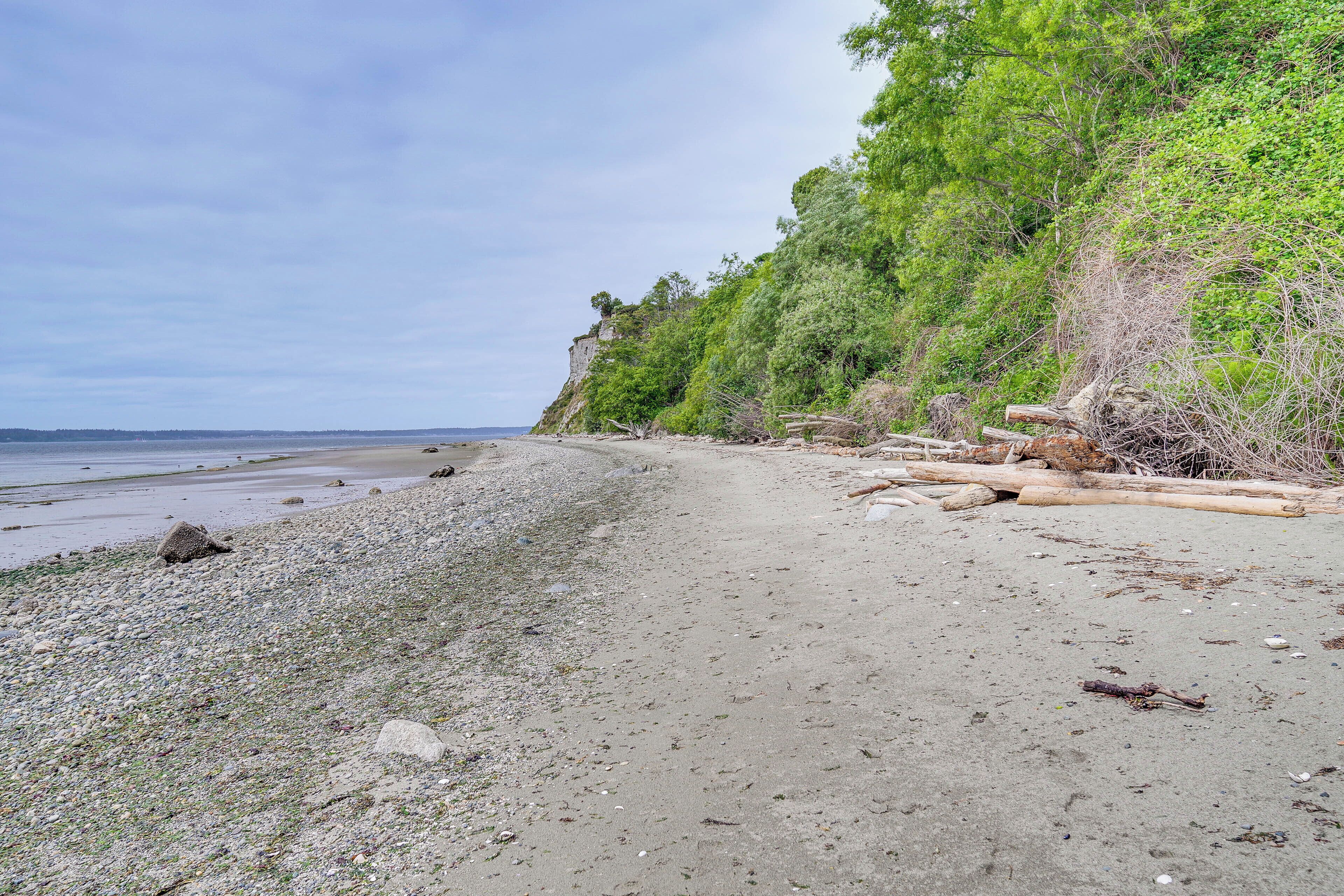 A beach with pebbles and driftwood, a cliff with trees, and the ocean in the background.
