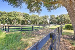 House (1 Bedroom) | Interior - Ocala Tiny Home on 10-acre Farm Near Wec! (Ocala)