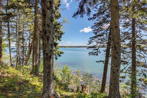 Huis (3 Bedrooms) | Interieur