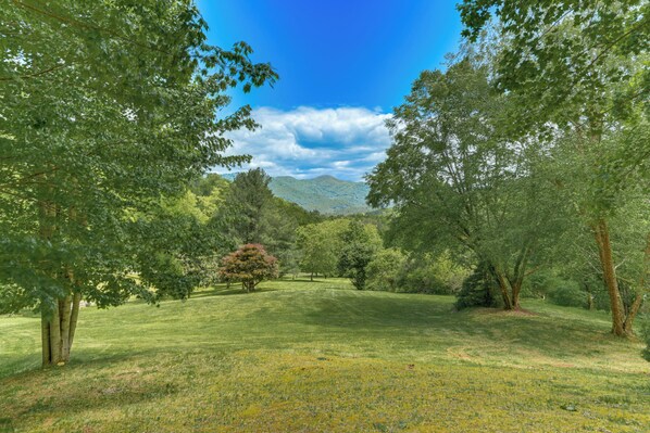 Interior - Pet-friendly Waynesville Cabin w/ Deck & Mtn Views (Waynesville)