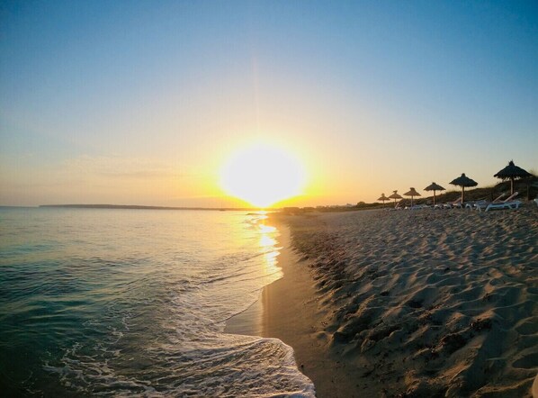 Plage à proximité
