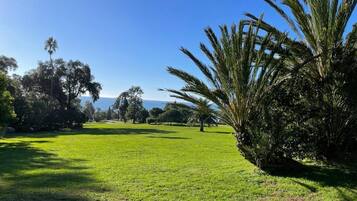 Apartment, 3 Bedrooms, Balcony | Exterior