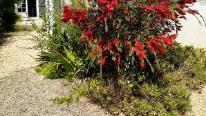 A house with a gravel driveway and a red flowering bush in the foreground.