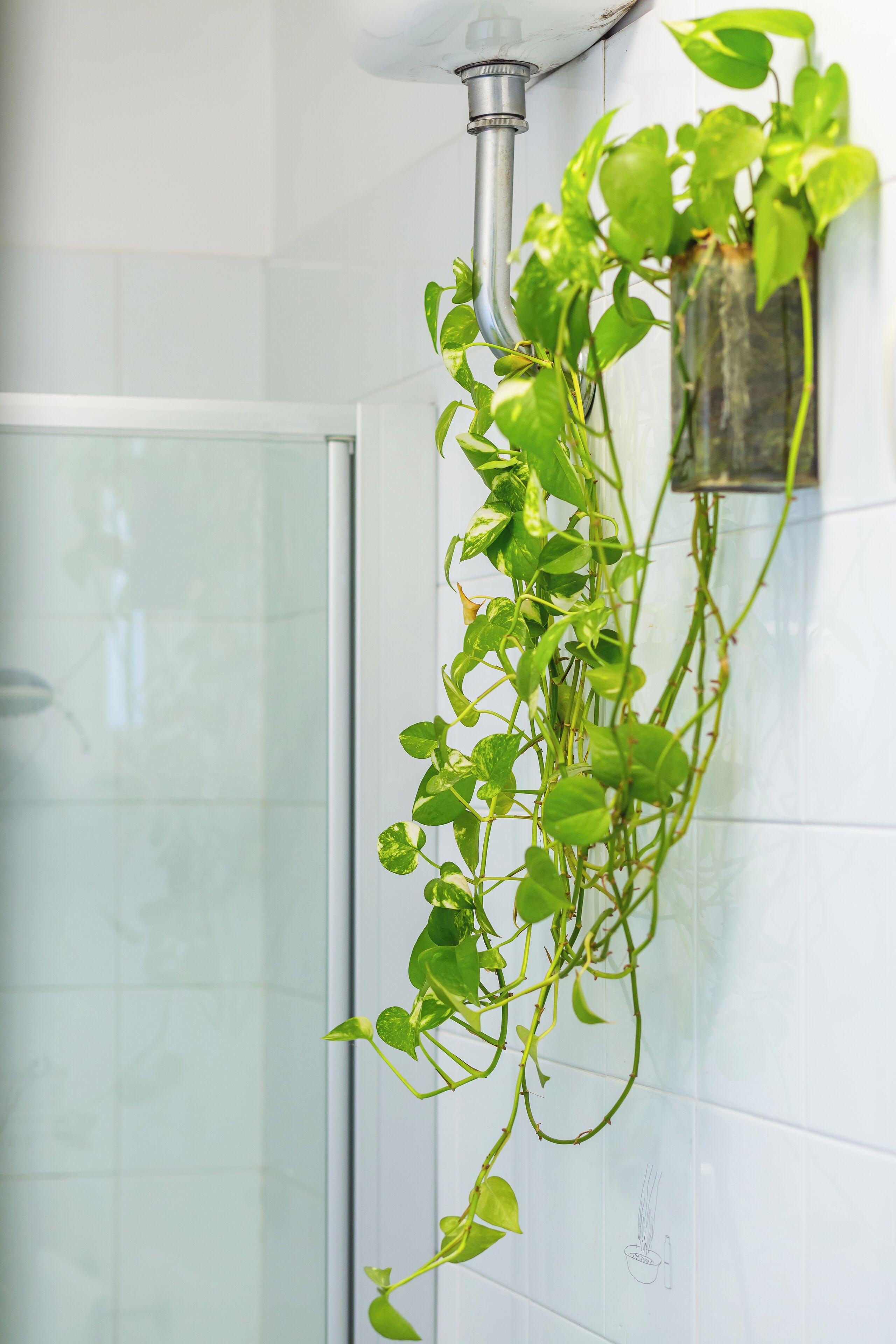 Bidet, jabón