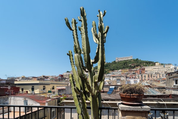 A cactus on a balcony with a cityscape in the background. - Panoramic Penthouse in Naples by Wonderful Italy (Naples)