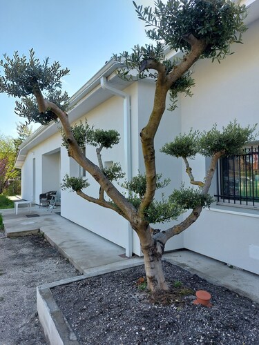 La maison du bonheur