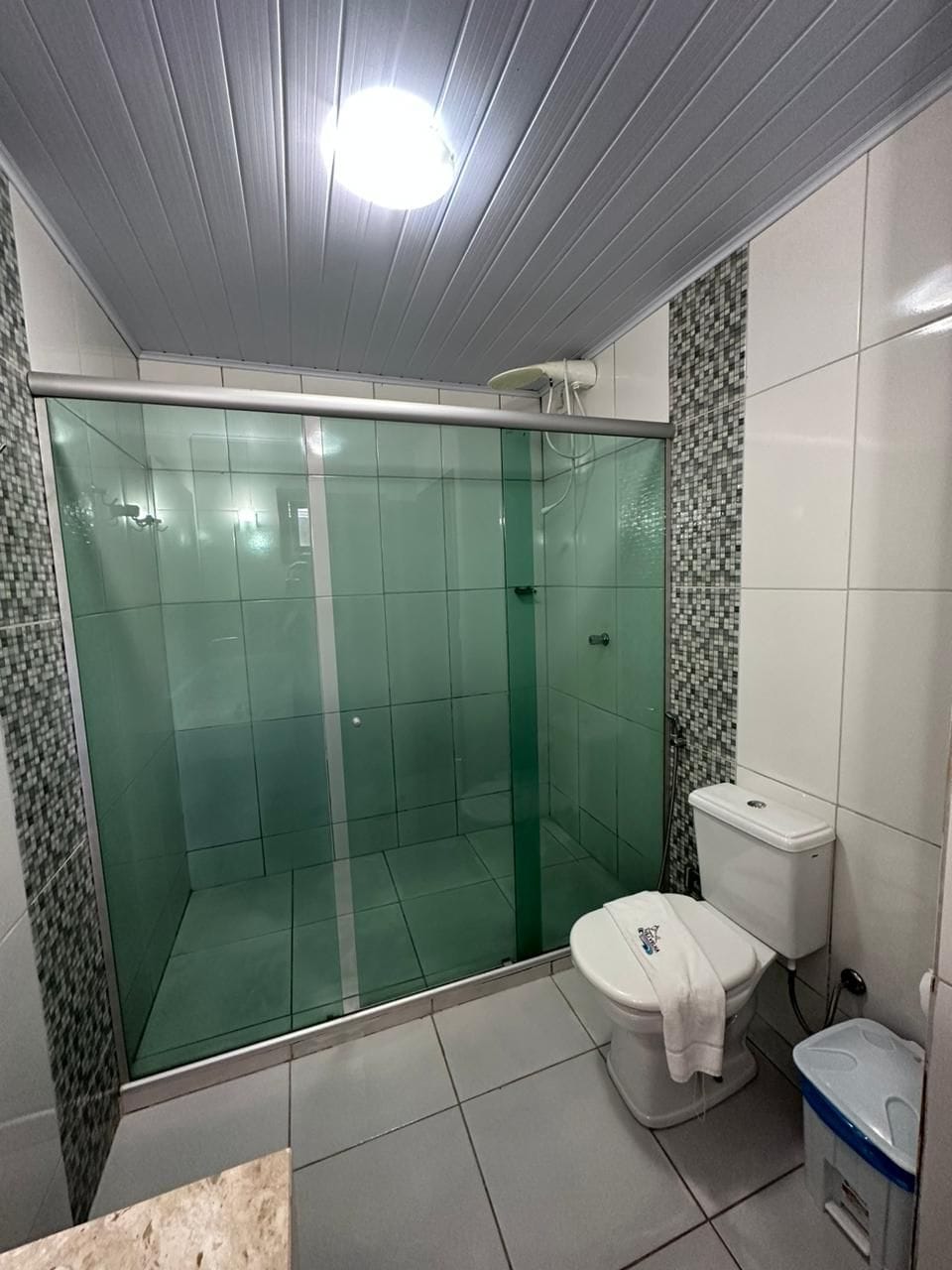 A bathroom with a glass-enclosed shower, a toilet, and a sink.