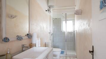 Shower, bidet, towels, soap