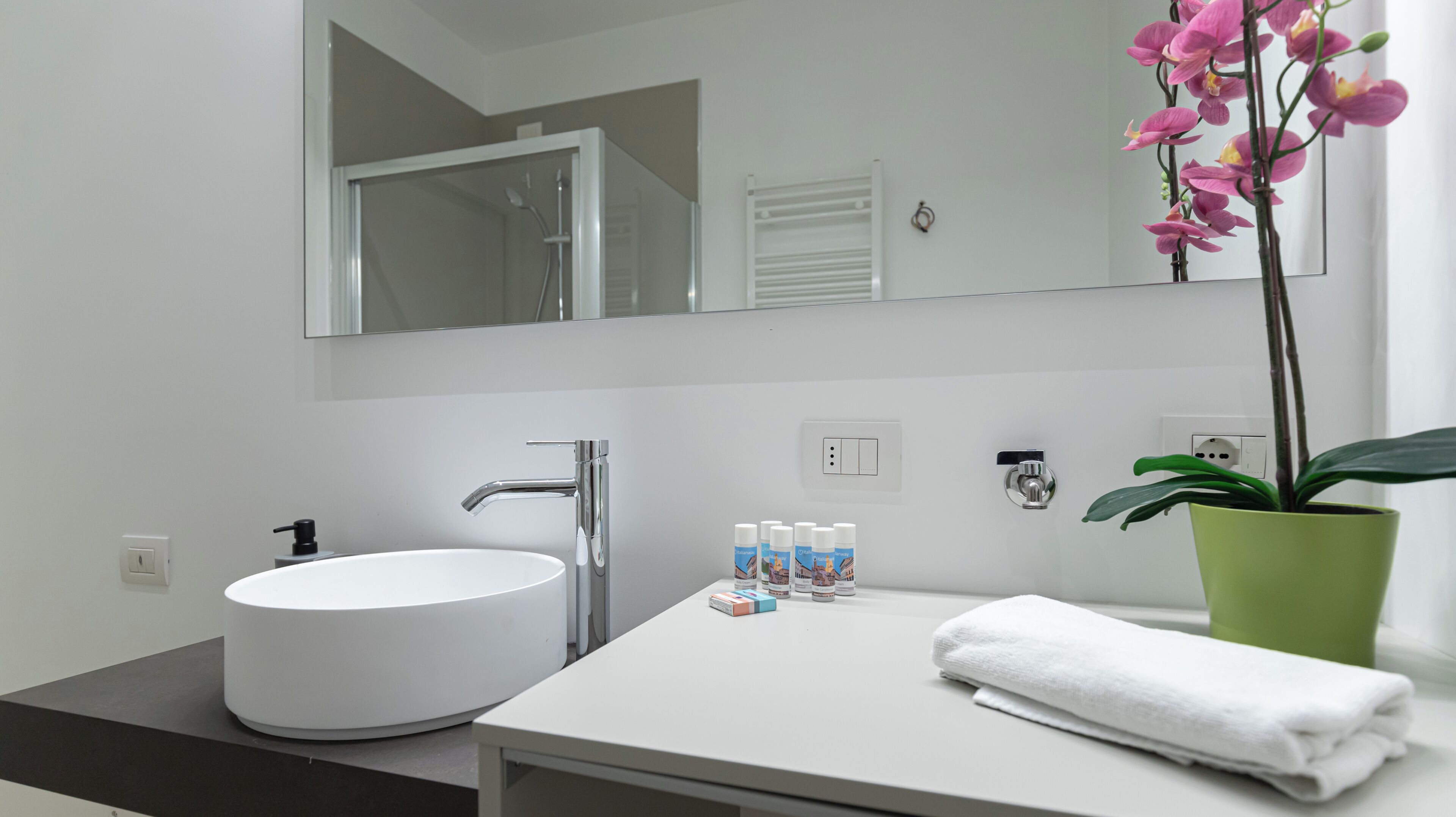 A modern bathroom with a white sink, a mirror, a green potted plant, and toiletries on the counter.