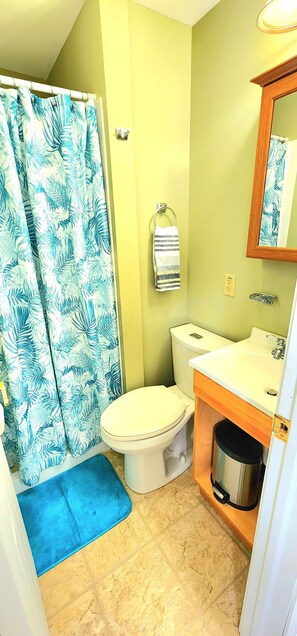 Een badkamer met toilet, wastafel en douchegordijn.