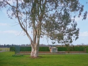 Pista esportiva