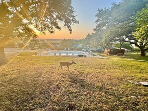 Property grounds - Lakeview Cozy Condo At Canyon Lake (Canyon Lake)