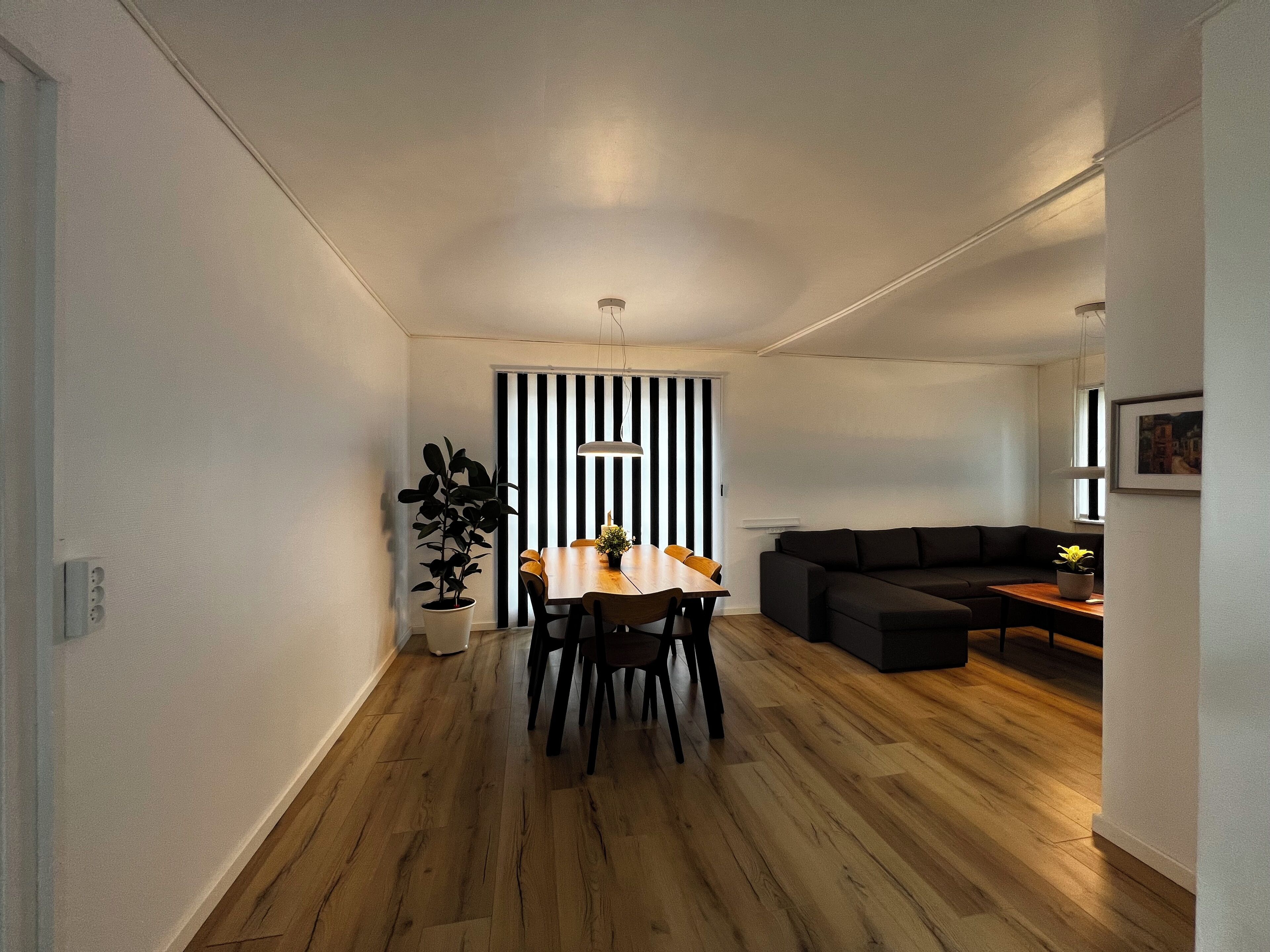 A modern living space with a dining area, a sofa, and a potted plant.