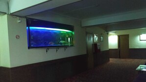 A hallway with a large aquarium, carpeted floors, and a door on the right. - Gallery Boutique Hotel (Baku)