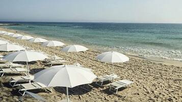 Lettini da mare