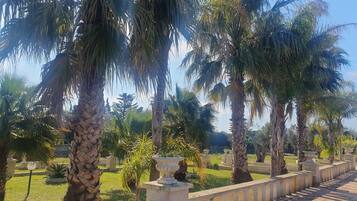 Giardino