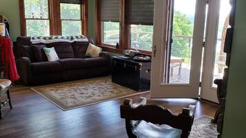 TV connectée, cheminée, lecteur de DVD